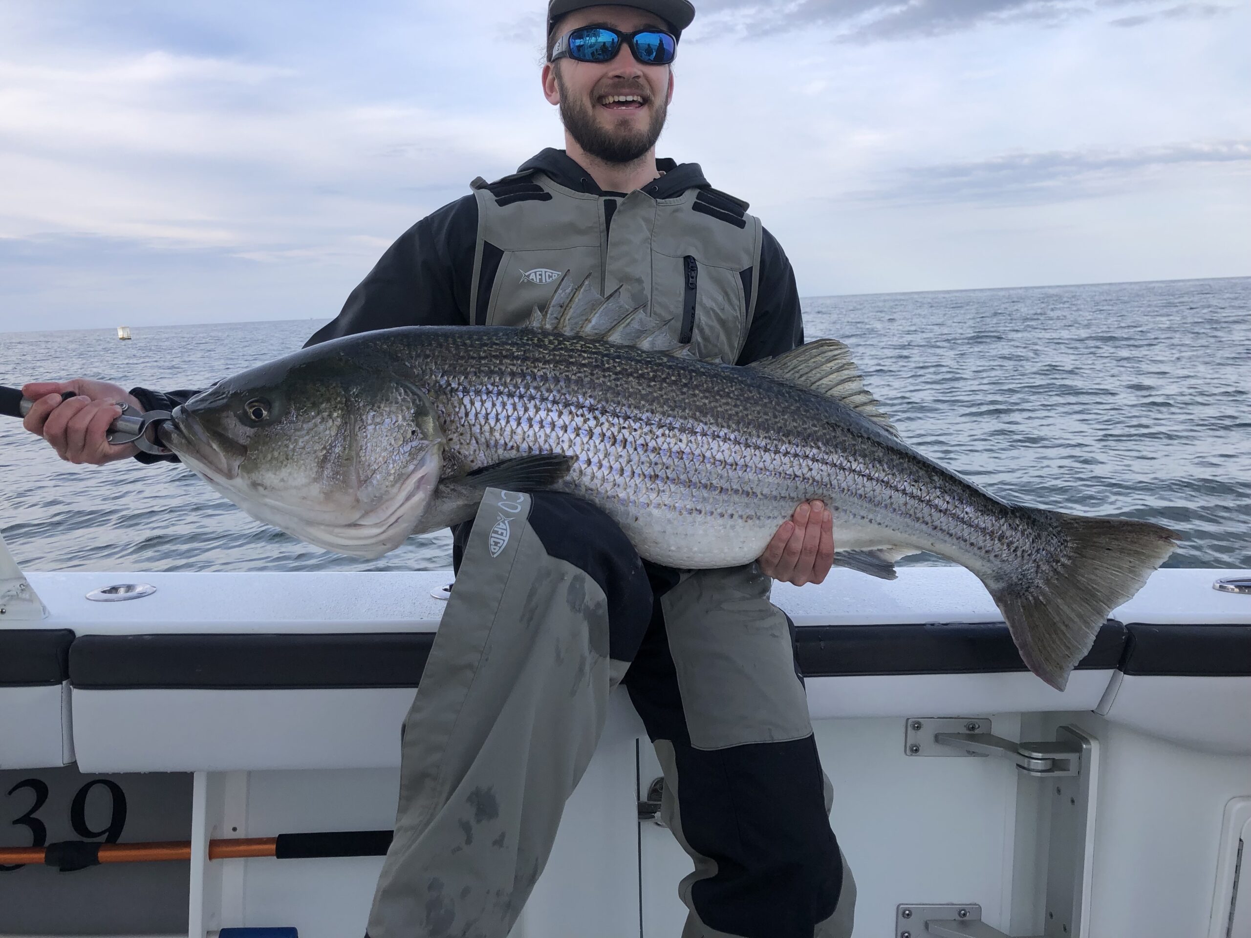 New Striped Bass Regulations Captain Mike's Marina